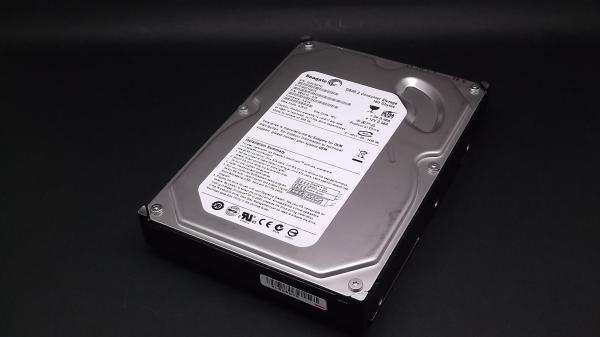 Seagate ST3160212ACE