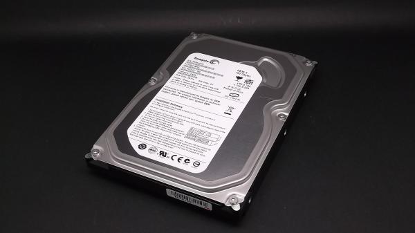 Seagate ST3160215ACE