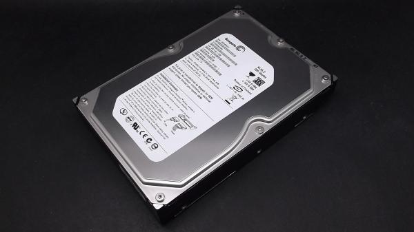 Seagate ST3250624NS