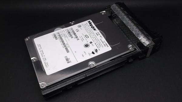 Dell W4006