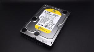 WD1003FBYZ