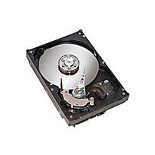 HP 455954-001