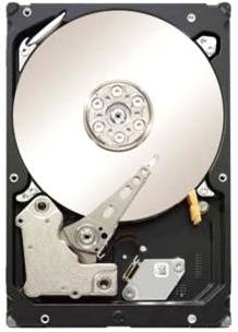 Seagate ST1000NM0031