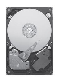 Seagate ST31000533CS