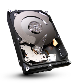 Seagate ST3160021A