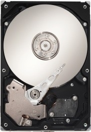 Seagate ST3160815AV