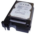 Seagate ST318404LC