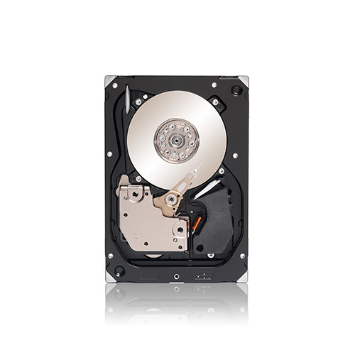 Seagate ST3300555SS