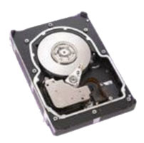 Seagate ST336607LW