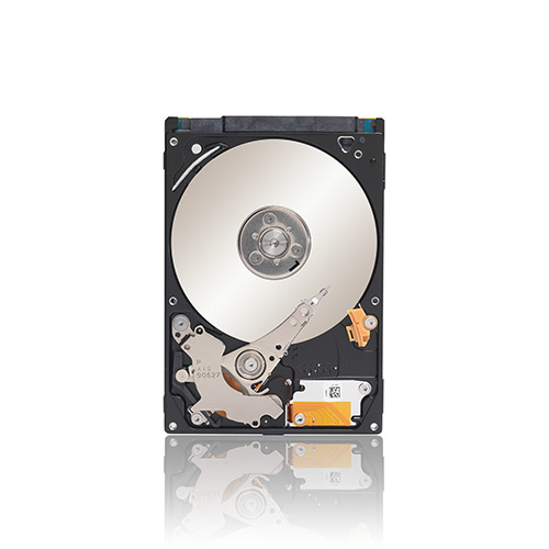 Seagate ST500LT025